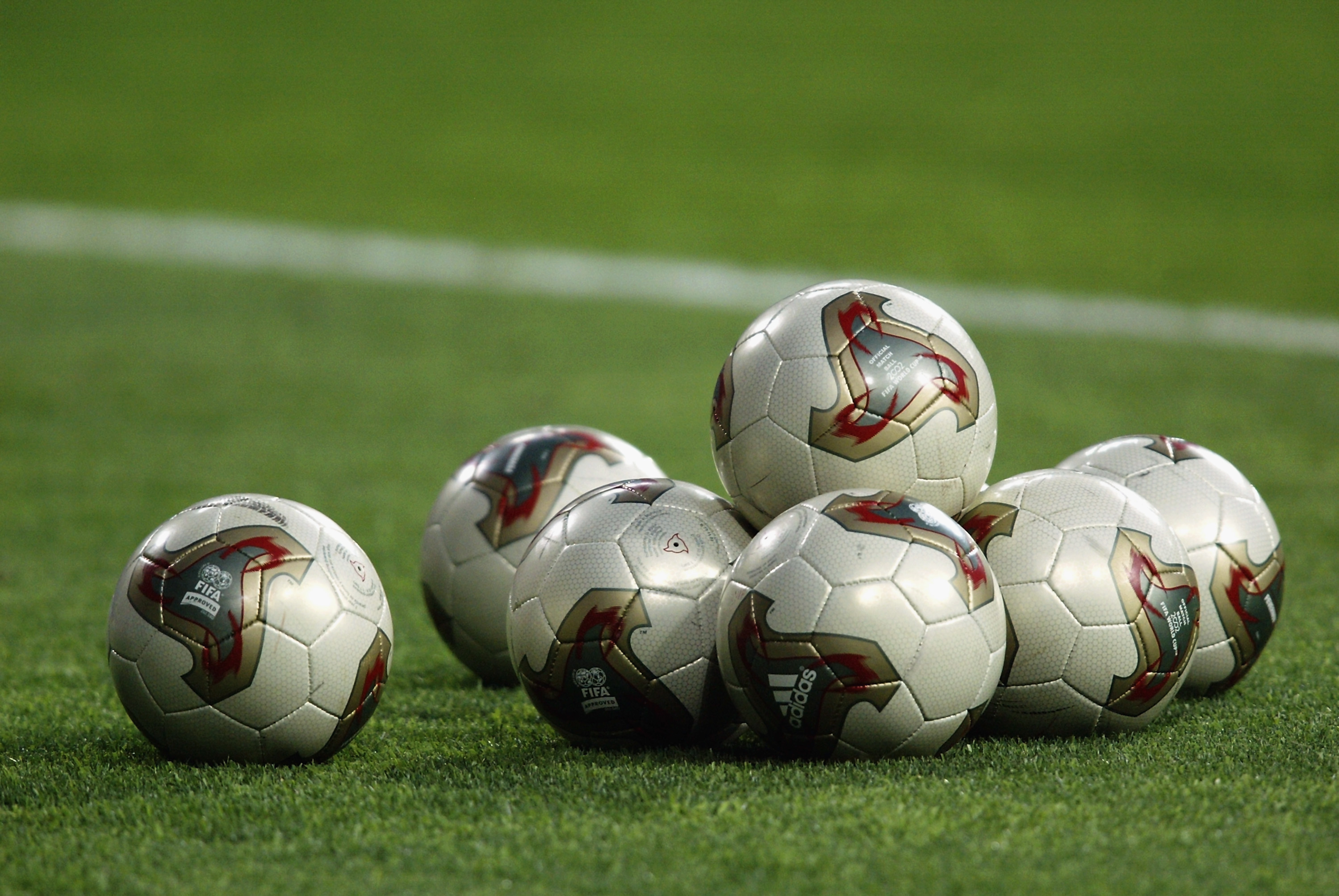 50吨植物油精炼设备