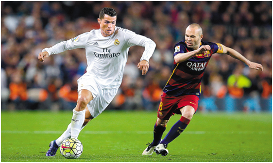 10吨植物油精炼设备