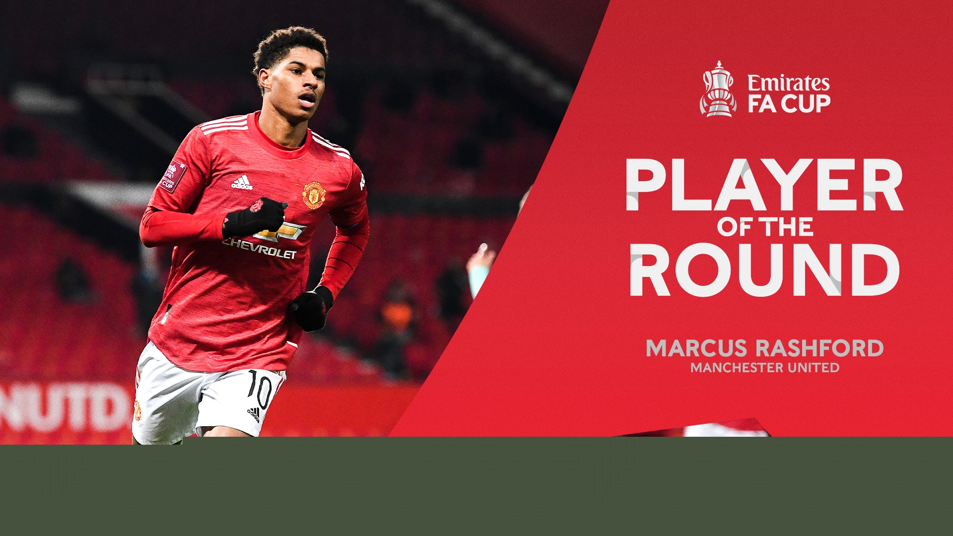 日处理80T动物油熬练生产线