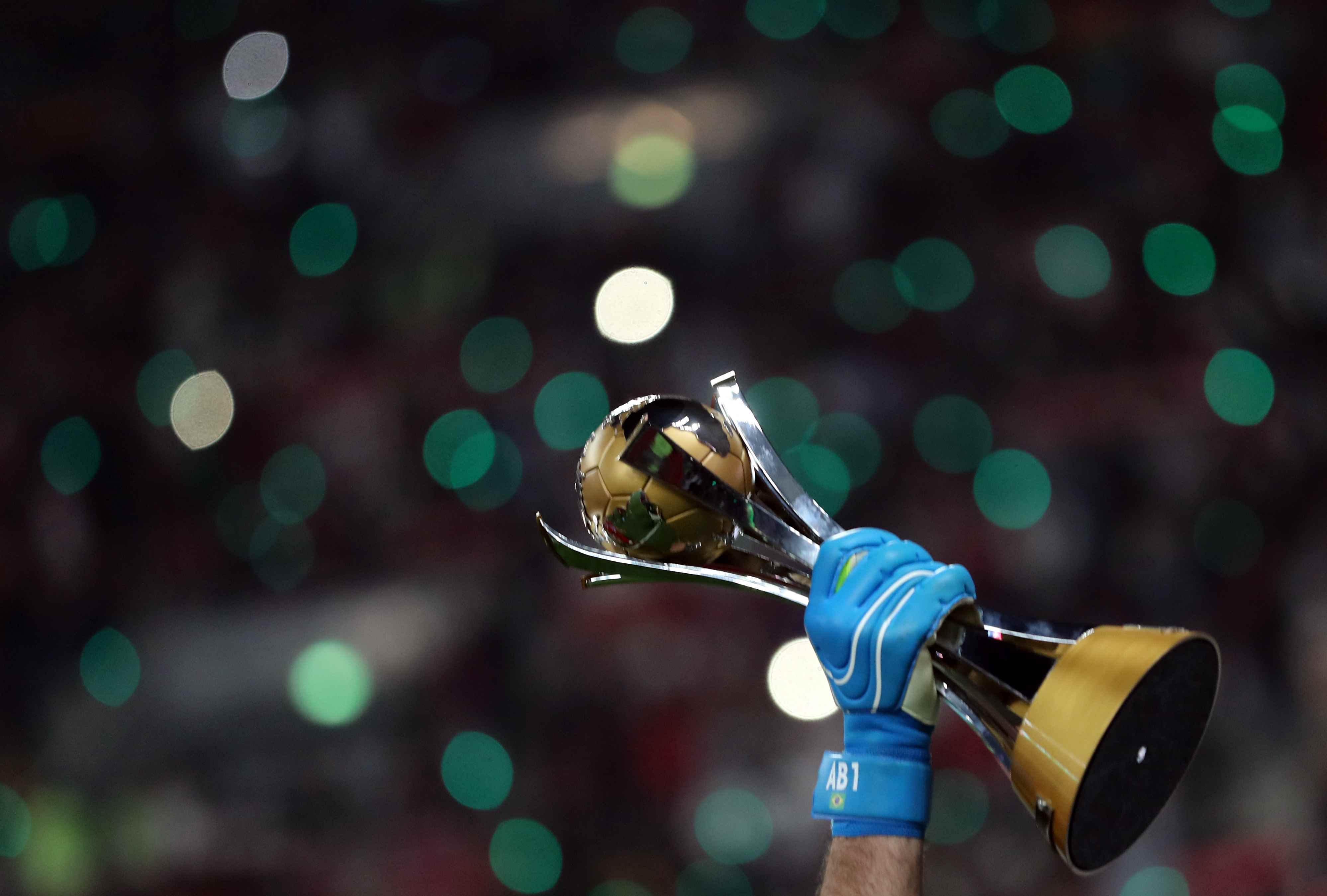 动物油脂精炼设备